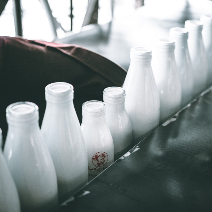 An assortment of jars of milk.