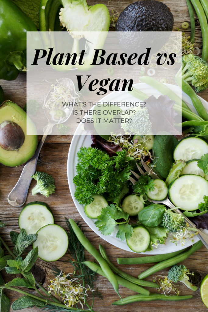 The words Plant based vs vegan what\'s the difference? overlayed across a salad.
