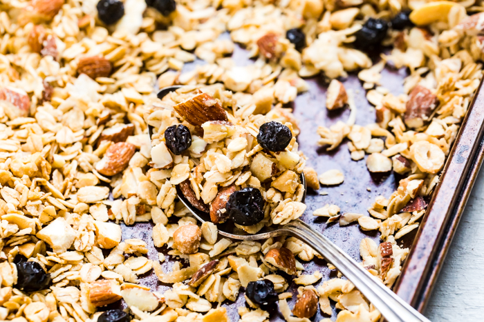 A spoonful of toasted coconut blueberry vegan granola over a tray.