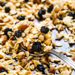 A spoonful of toasted coconut blueberry vegan granola.