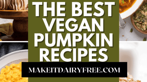 The words the best vegan pumpkin recipes overlayed across four photos of vegan pumpkin recipes.