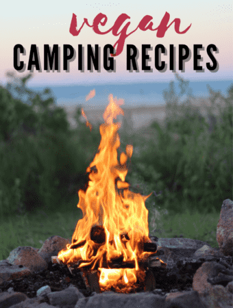 The words Vegan Camping Recipes overlayed onto a campfire.