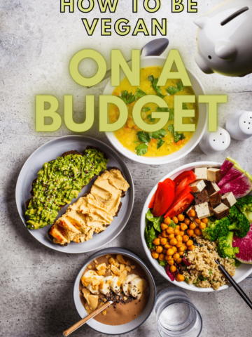 The words How to be vegan on a budget overlayed across several dishes.